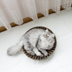 Slunečnice papír kočka poškrábání hnízdo