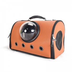 Pus ve tvaru písmene U