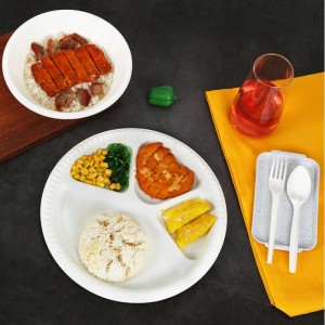 PLA materiál kompostovatelné jednorázové potravinovénádoby