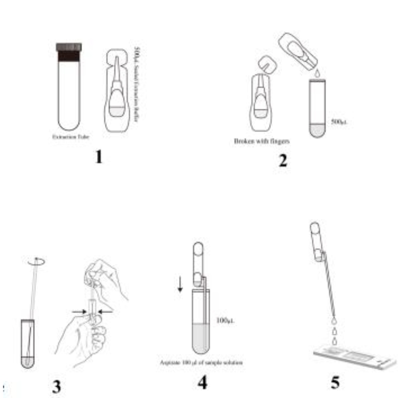 SARS-COV-2 antigen Rapid Test Kit (časově vyřešená fluorescence)