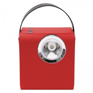 FB-BS5060 Dřevěný Bluetooth reproduktor s LED hořákem