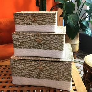 Mořské řasy tkané box s krytým skladem