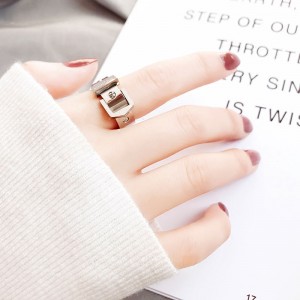 Chladné větrné kovové kroužky