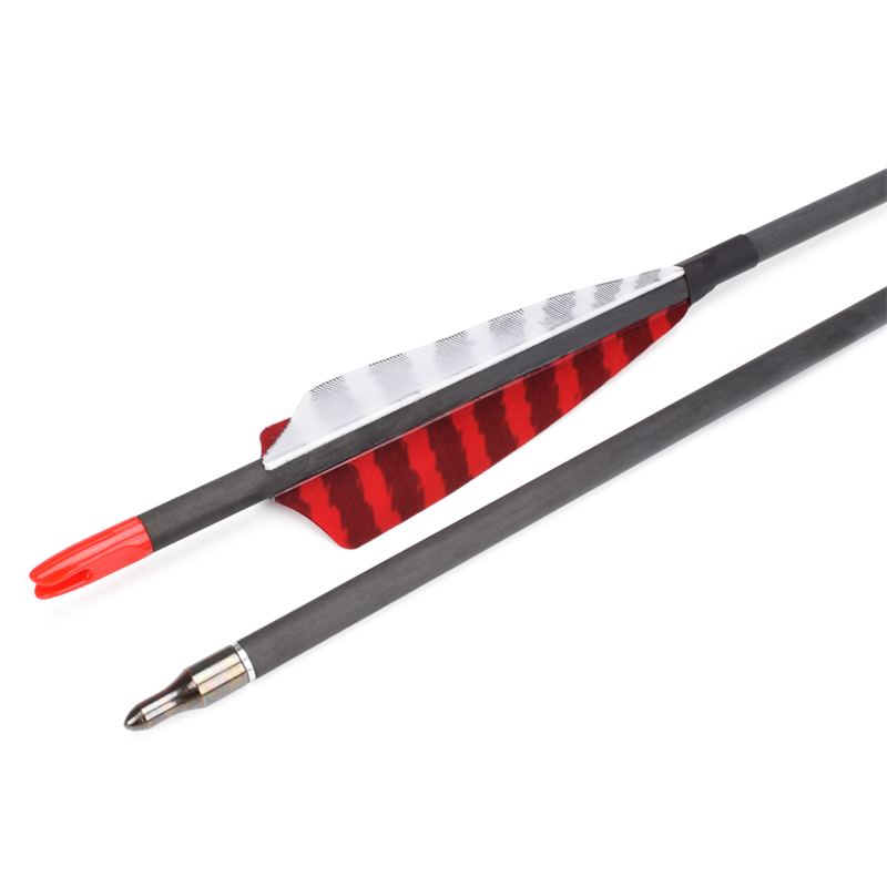 Elong venkovní 112837 ID6.2mm SP500 Carbon Fiber Arrow Turecko peří lukostřelba střelba