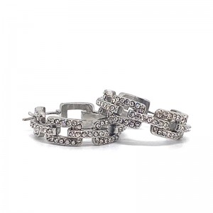 European and American módnínerezová ocel Zirkonnáušnice (nemilovat)