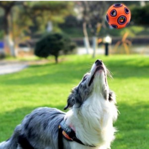 LED plovoucí psí hračky