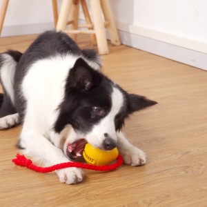 Guma uniká snack pes hračka