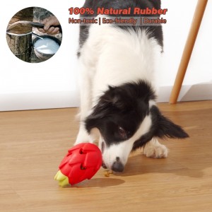 Psí kousnutí odolná gumová hračka
