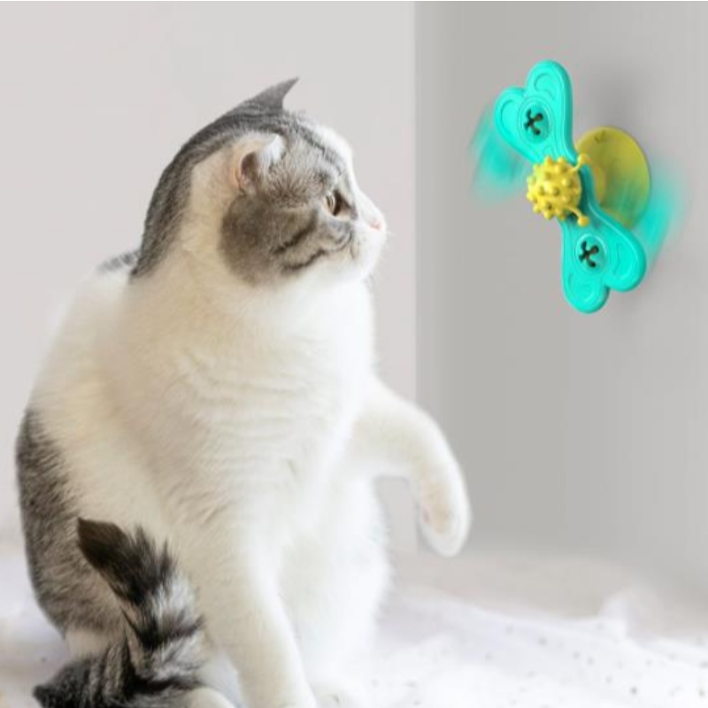 Kočka větrný mlýn hračka legrační masáž otočné kočičí hračky s catnip míč zuby čištění pet produkty