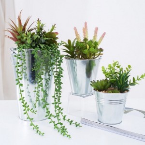 Továrna přímo zásobování umělé sukulentní v železné hrnci