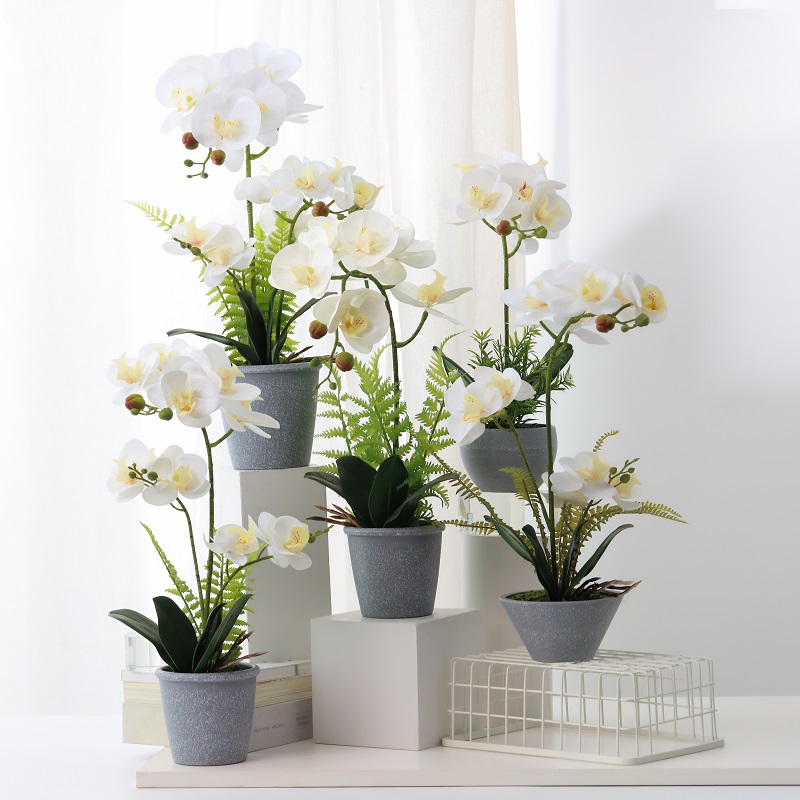 Hot prodávat skutečný dotek hrnkové umělé orchideje