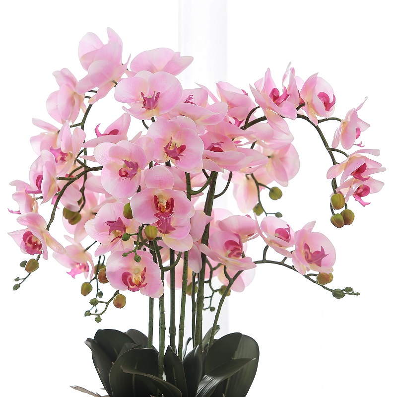 Skutečný dotýkal umělé umělé orchidejna prodej