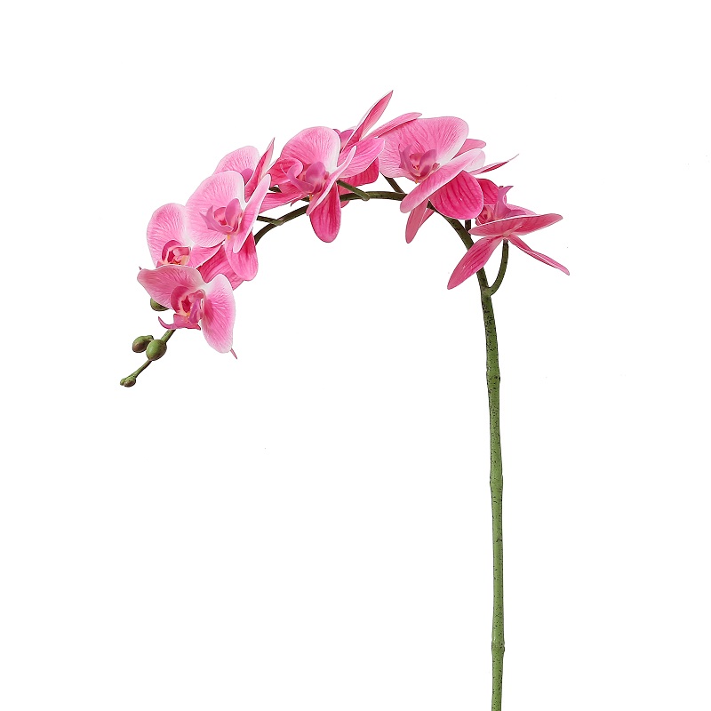 Teplé prodeje jediné větve Umělá orchidej
