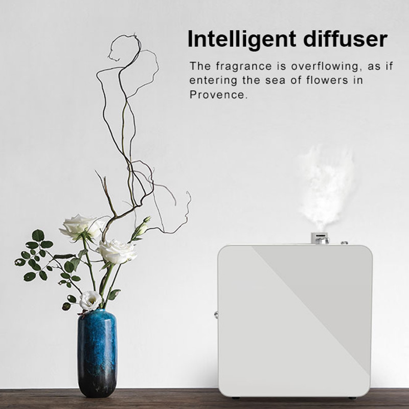 DW-1000Aroma difuzor