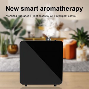 DW-1000Aroma difuzor