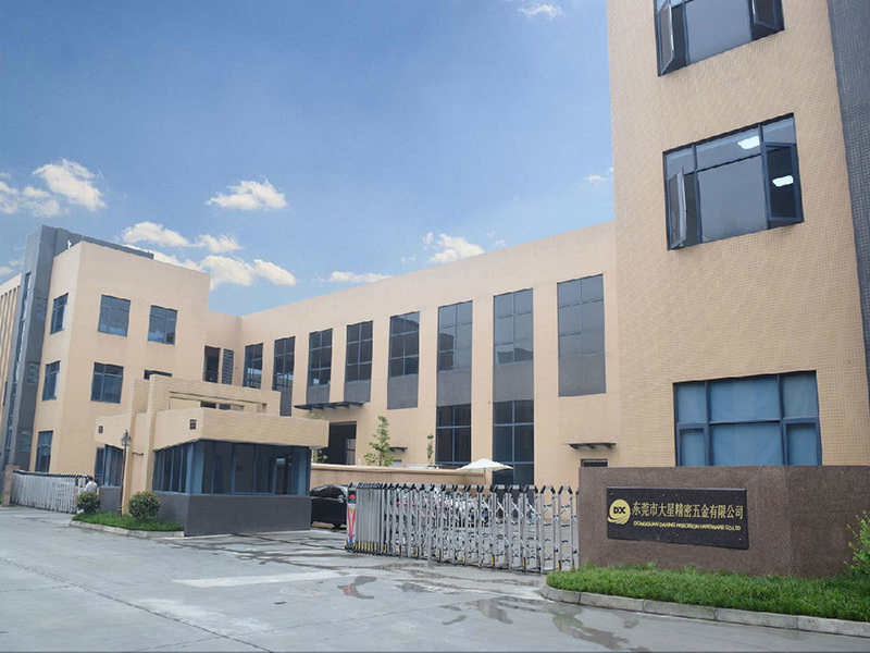 Dongguan Daxing Precision Hardware Co., Ltd.