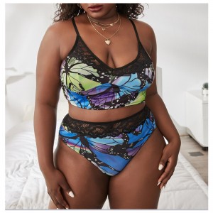 Nová krajka potištěná pohodlná sada spodního prádla: Velkoobchod s továrnou