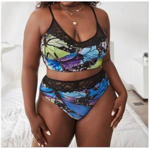 Nová krajka potištěná pohodlná sada spodního prádla: Velkoobchod s továrnou