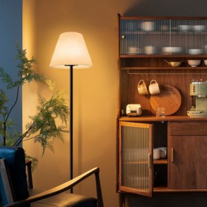 Outdoor/indoor Touch Control RGB LED LEAM LAMP, moderní europické stojící lampy Home Decor Floonal Lamp pro obývací pokoj, ložnice, hotel, zahrada, kancelář (11*60,2 palce)