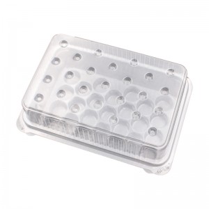 Blistrový podnos znukleové kyseliny