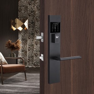 3004 DLOUHÁ PLATE SMART LOCK PRO FOREL DOBRESKÁ ZÍSKA