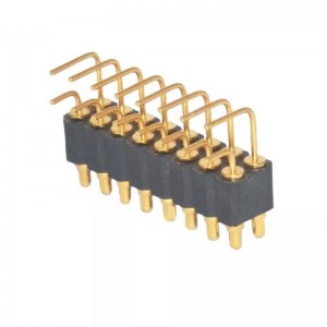 Standardní pravý anděl pogo pin