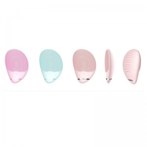 Křemíkový štětec