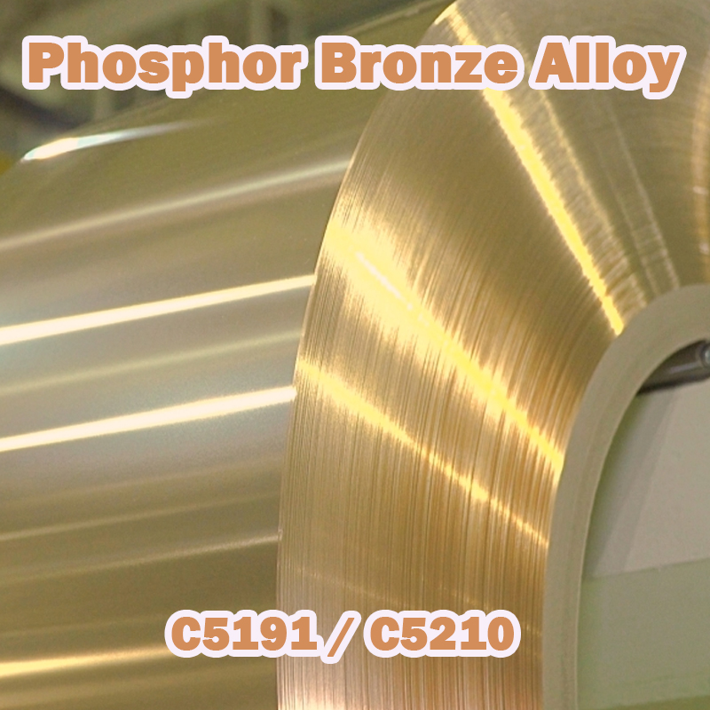 C5191 C5210 Phospor Bronz Alloy Series