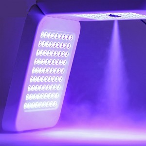 2022 Nová LED terapie LED FACIAL Photon Therapy Lampa/PDT LED SPRAY OMEGA Light Machine pronano doplněk vody, omlazení pokožky, odstranění akné