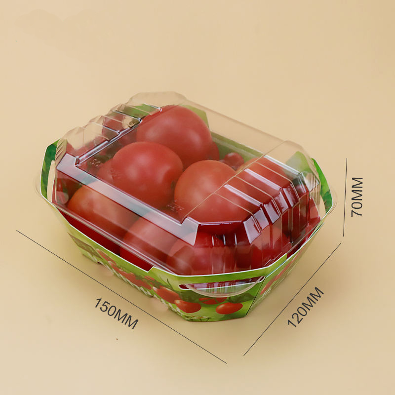 Vlastní plastové kartonové krabice pro obal ovocných punnet s víkem