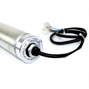 Přímo přes 50/60 Miniaturní elektrický váleček DC bez kartáčovače 24V Galvanizovaný motor 220V 380V znerezové oceli