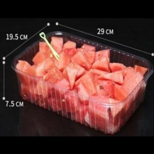 Žádný kryt hluboký podnos 290*195*75 mm HJ-2817