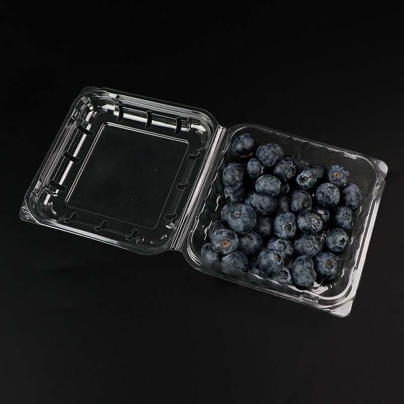 Ovocná krabice Blueberry Box s víkem 103*108*42 mm HGF-125B