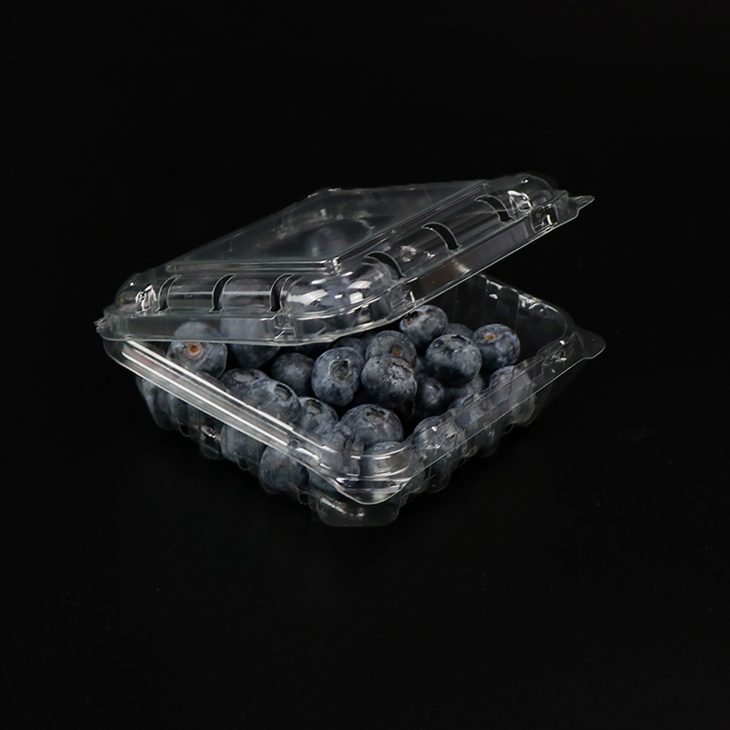 Ovocná krabice Blueberry Box s víkem 103*108*42 mm HGF-125B
