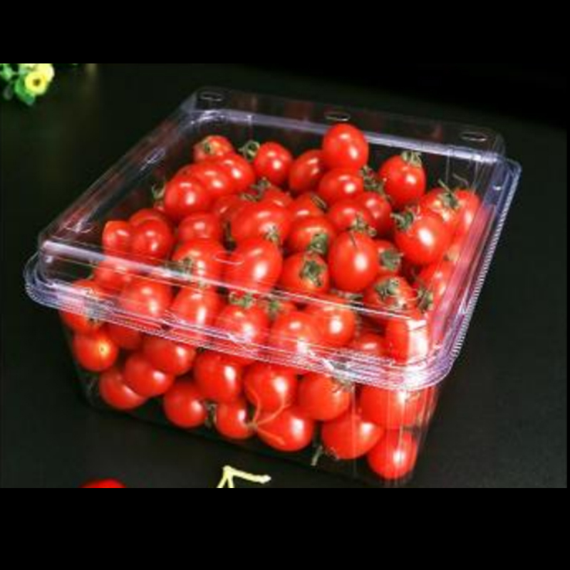 Ovocná krabička s víkem 175*170*75 mm HGF-850G
