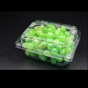 Ovocná krabička s víkem 195*155*85 mm HGF-650