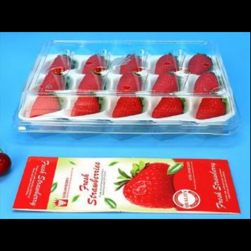 Strawberry Box (15 jahod) 225*120*40 mm cm-15