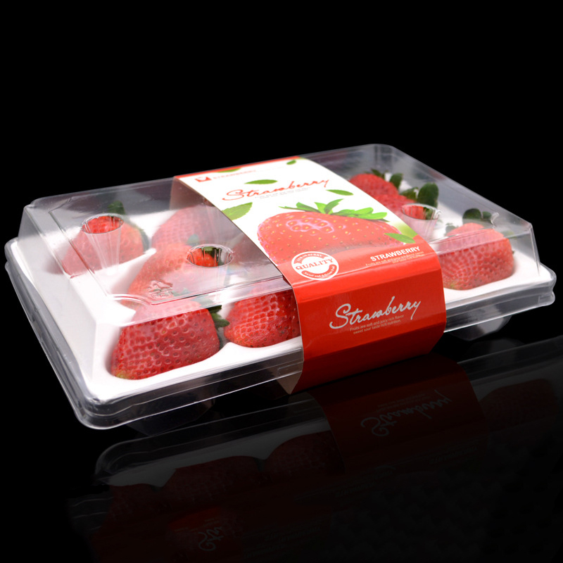 Strawberry Box (11 jahod) 225*120*40 mm cm-11
