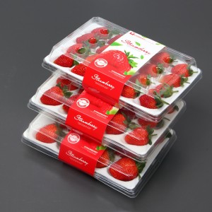 Strawberry Box (20 jahod) 225*120*40 mm cm-20