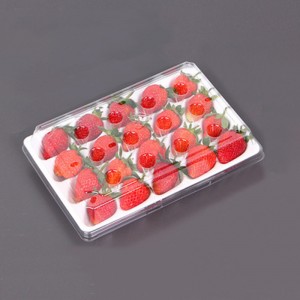 Strawberry Box (20 jahod) 225*120*40 mm cm-20