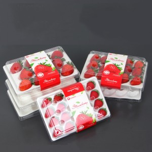 Strawberry Box (20 jahod) 225*120*40 mm cm-20