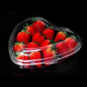 Kardioidní krabice průhledná víčka 185*45 mm