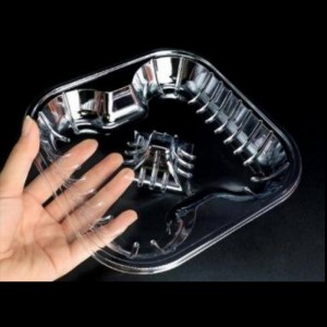 Slotní ovocný podnos bez víka 190*190*25 mm HGF-4A (85)