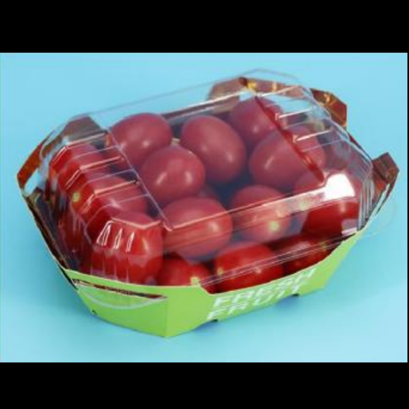 Ovocná krabice HGF-T500 500 g