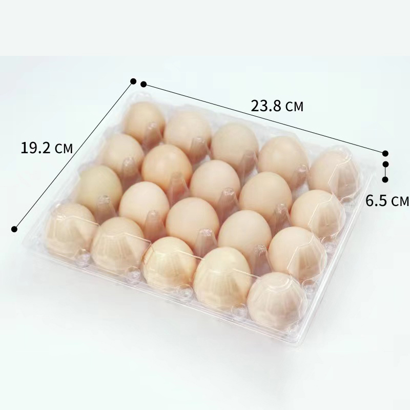Egg Podnos 238*192*65 mm 20 drážek