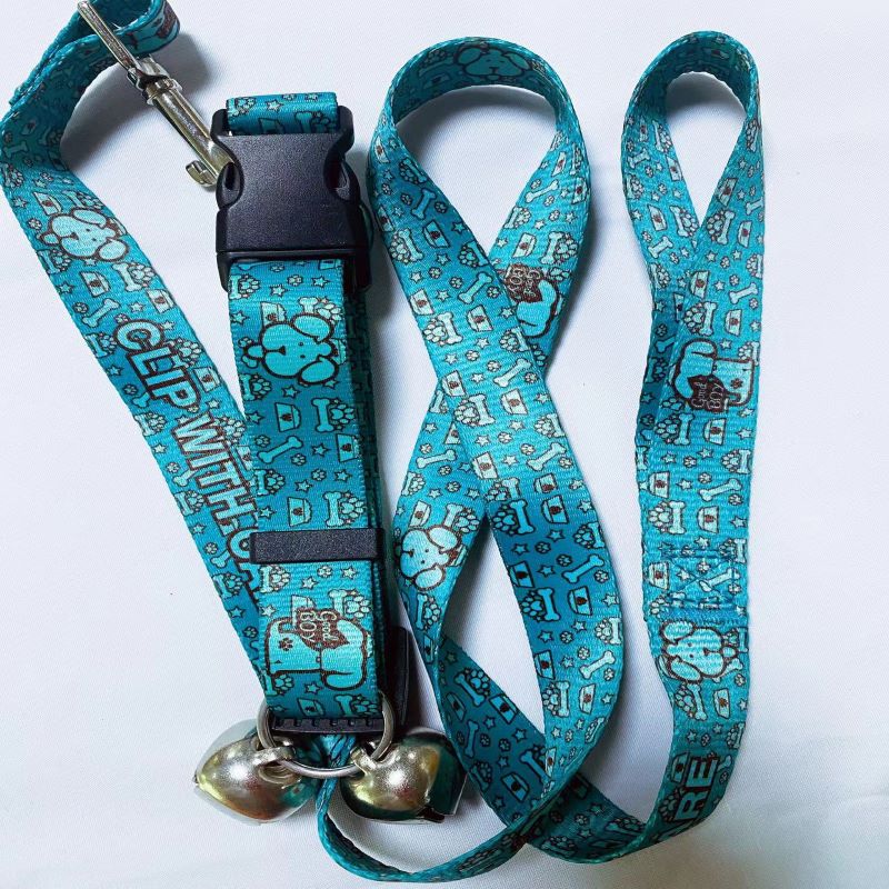 Pet Leash