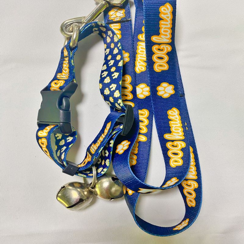 Pet Leash