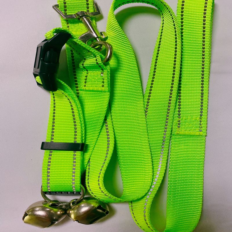 Pet Leash