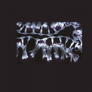 LED vánoční světlo