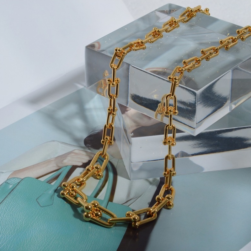 Silný řetězový náhrdelník ženská Evropa a Spojené státy v lehkém luxusním výklenku podkovové spony klíční kosti řetěz